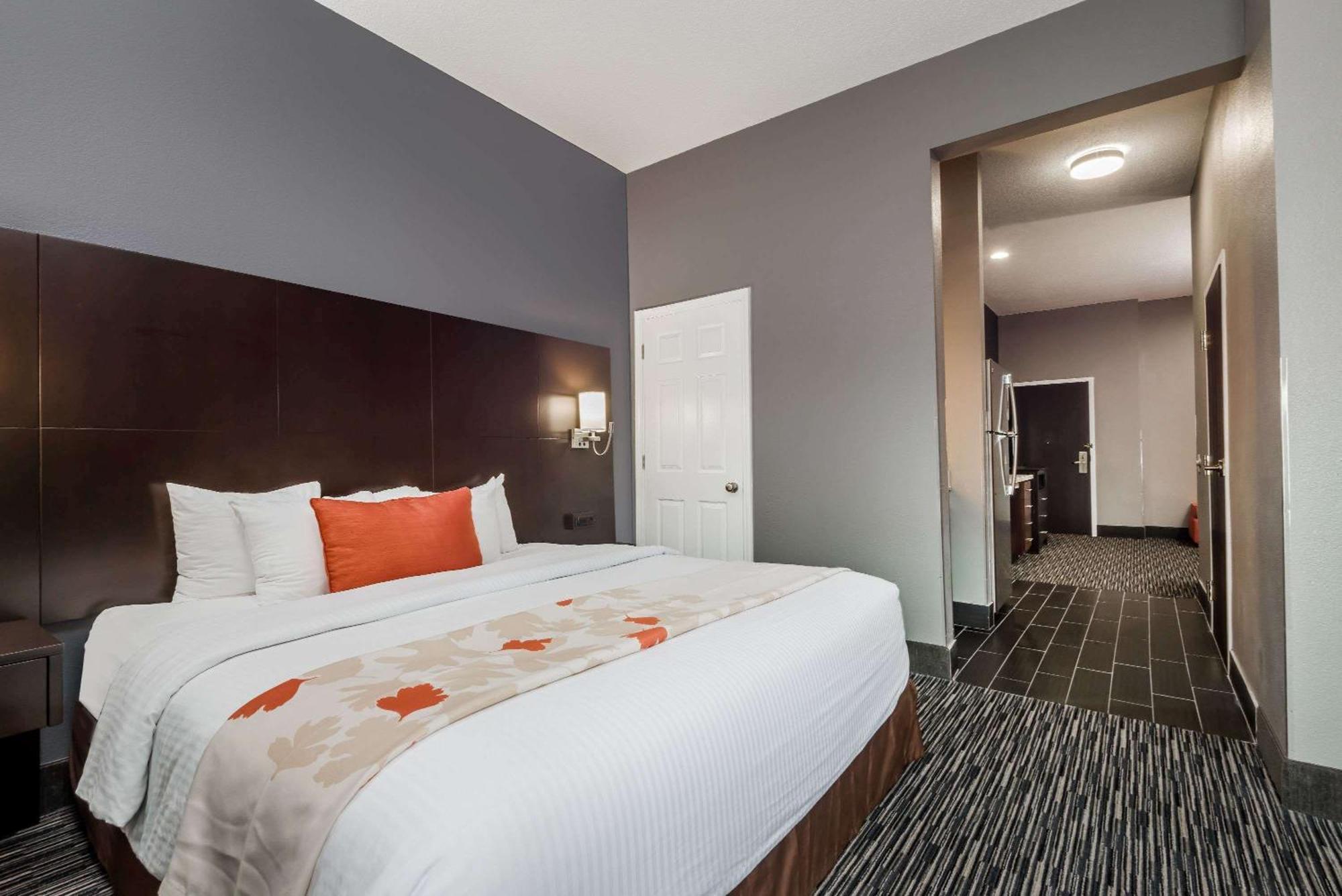 One-Bedroom King Studio Suite - Non-Smoking