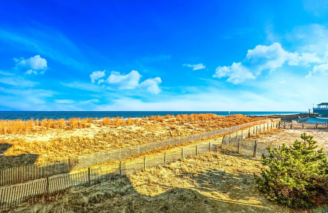 Summer Beach 602-1