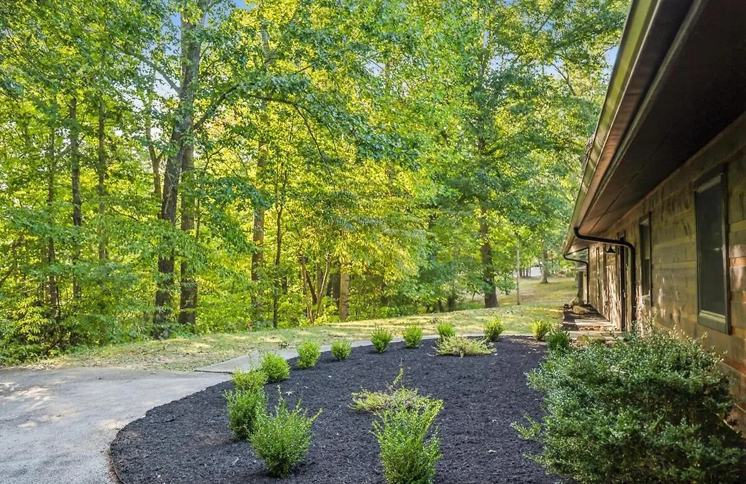 Honeybear Hideaways - Spacious Family-Friendly Cabin With Hot Tub, Game Room And Fire Pit-1