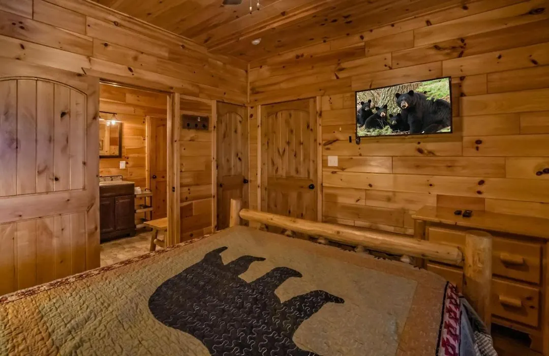 Beartastic Mountain View Lodge-1
