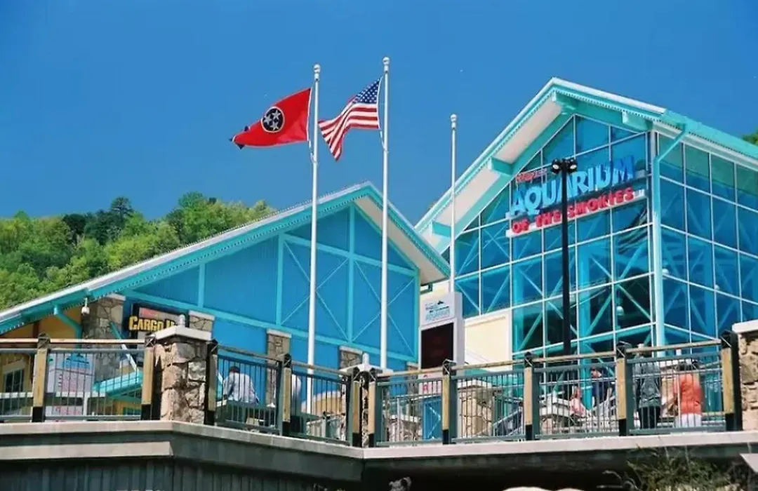 Smoky Mountain Wow-1
