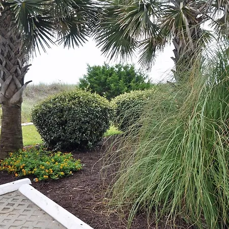 Oceanview 8Br/7Ba Condo With Oceanfront Pool-2