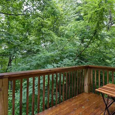 Sugar Bear Cabin With Hot Tub And Fire Pit-2