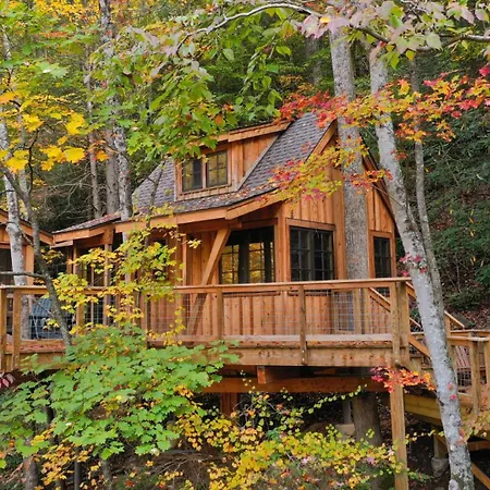 The Dogwood In Treehouse Grove At Norton Creek-3