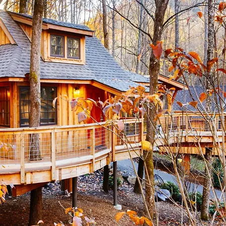 The Elm In Treehouse Grove At Norton Creek-2