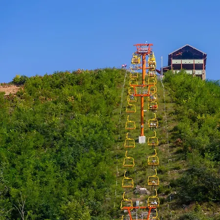 Creekside Lodge, Hot Tub, 1089 Of Free Attraction Tickets For Each Paid Day, Dollywood And More!-3