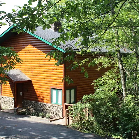 Bear Necessities, Luxury 5Bd Mtn Views, Hot Tub, Many Bear Sightings-3