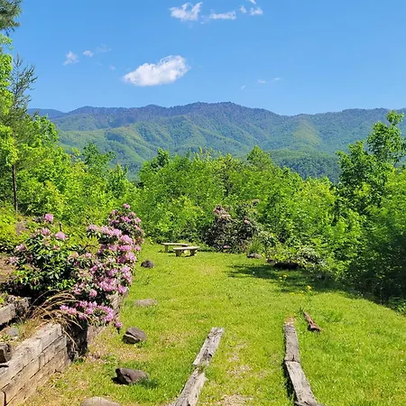 Real Log Cabin With Amazing Views, Hot Tub, Sauna, Games-2