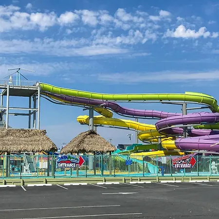 Royal Palm Court B5-2