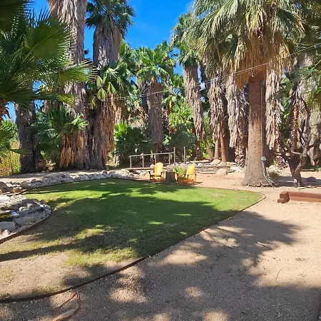 Tucson'S Hot Springs At The Oasis-3