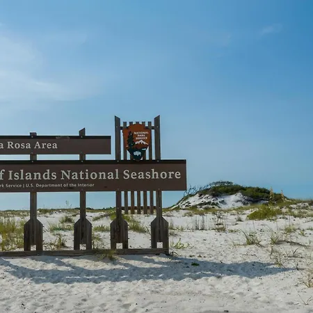 Turtles Nest-3