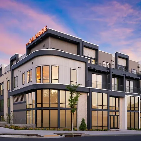 4 Units 16 Guests New 12 South Hotel Rooftop Courtyard The Gilmore-2