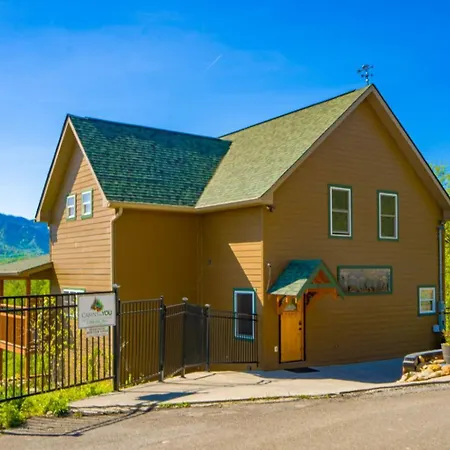 Beartastic Mountain View Lodge-3