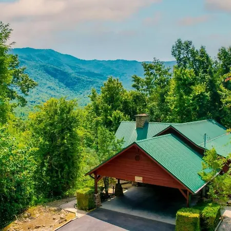 Treetop Retreat-3