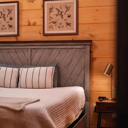 New Cozy Mountain Chalet Hot Tub Near Downtown-3