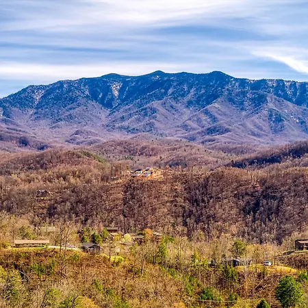 Mountain Laurel Lookout, Hot Tub, Wifi, 560 Free Tickets Each Paid Day!!!-2