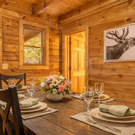Bucky'S Bungalow, Free Attraction Tickets, Hot Tub, Wifi!!!-3