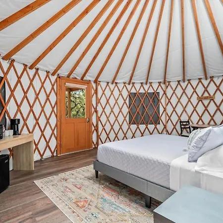 Ot 3515H Texas Yurt Haus Horned Frog-2