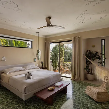 Casa Frida By Dw-3