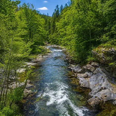 River Romp Splash Into The Smokies-3