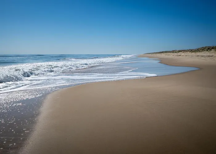 Sea La Vie Beach Cottage Virginia Beach