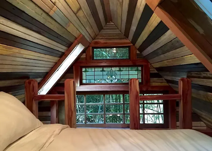Cozy Alpaca Tree House Rental In The Bamboo Forest In Atlanta, Georgia