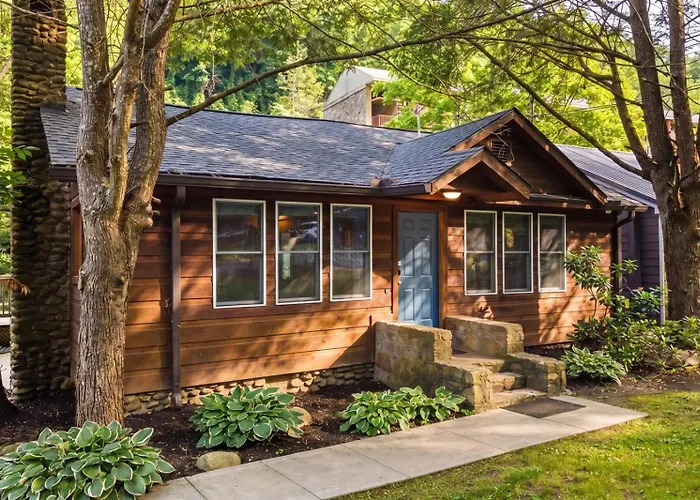 Pooling Around - Pet-Friendly With Swim Spa Gatlinburg
